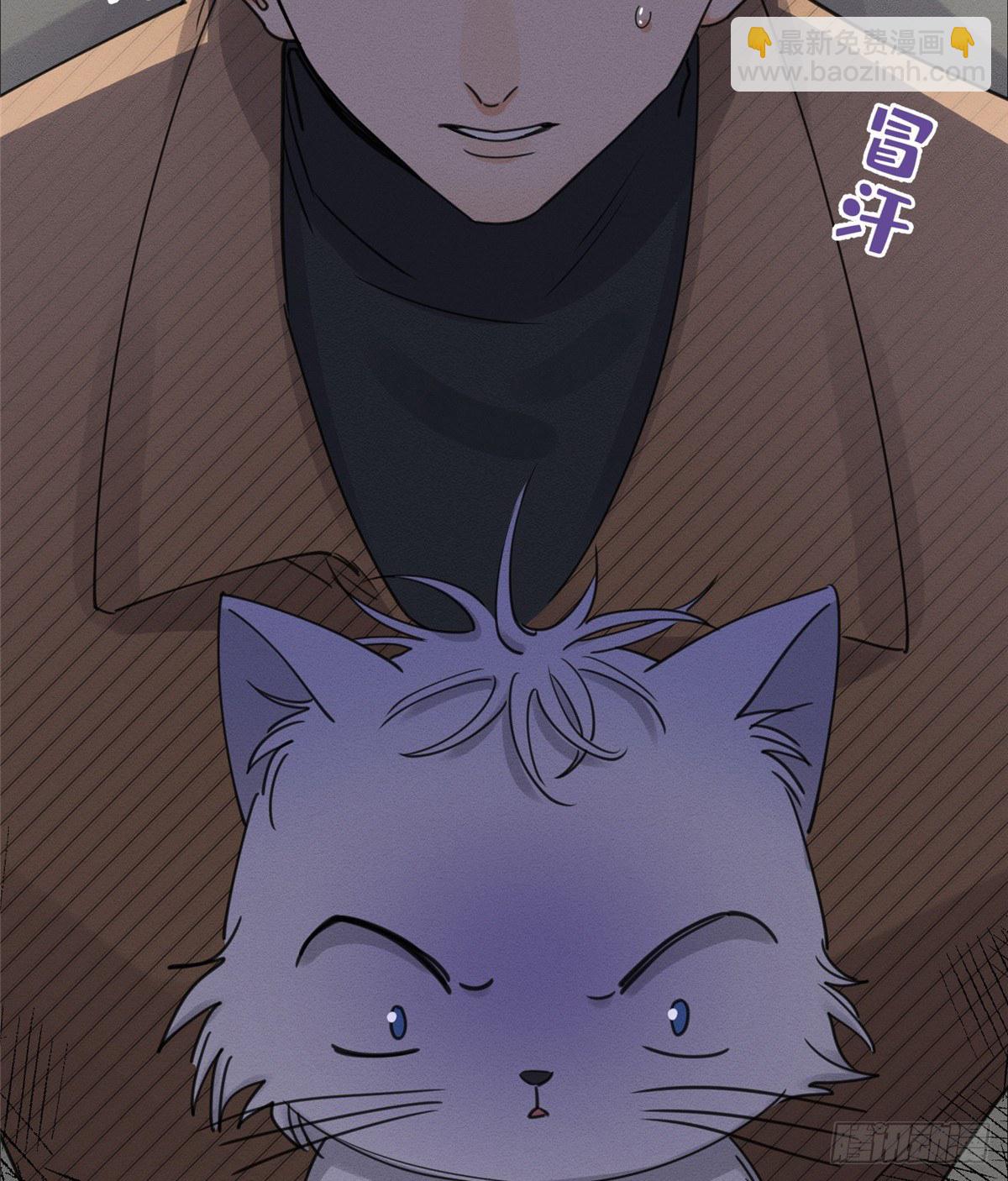 《今天也要努力当只猫》第13话 我的初吻TAT 第38页