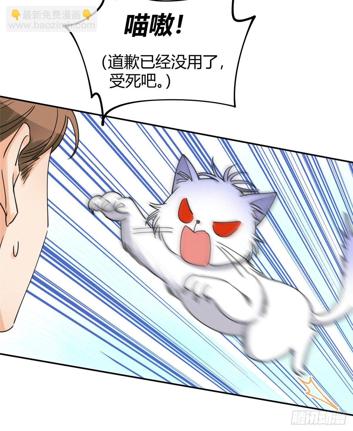《今天也要努力当只猫》第13话 我的初吻TAT 第42页