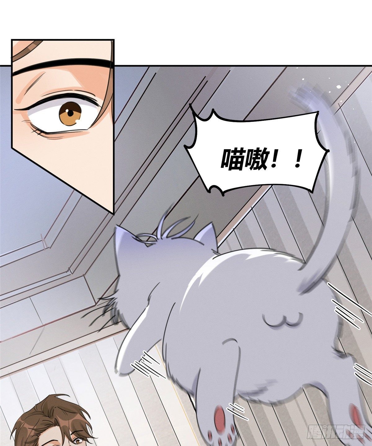 《今天也要努力当只猫》第13话 我的初吻TAT 第43页