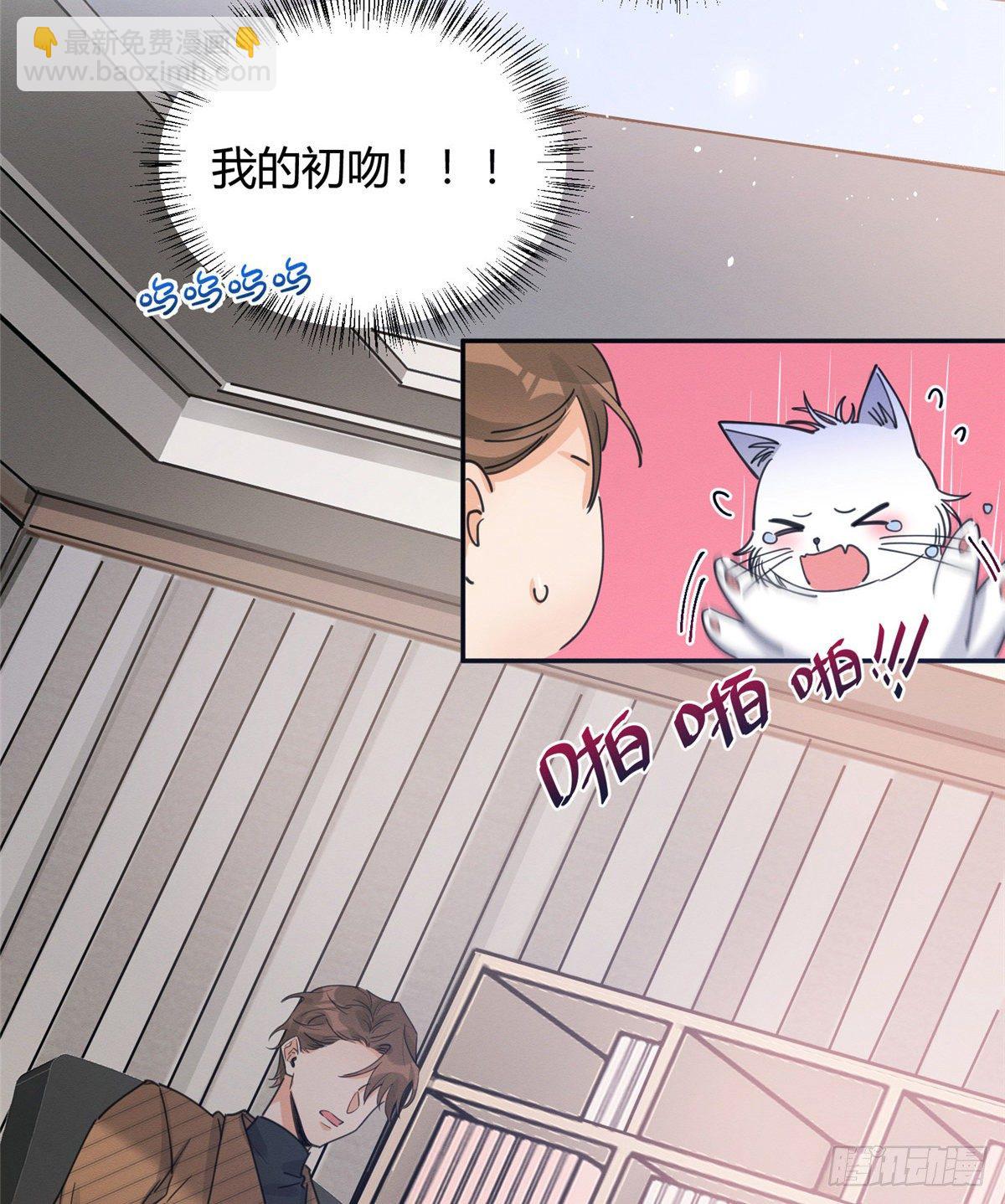 《今天也要努力当只猫》第13话 我的初吻TAT 第49页