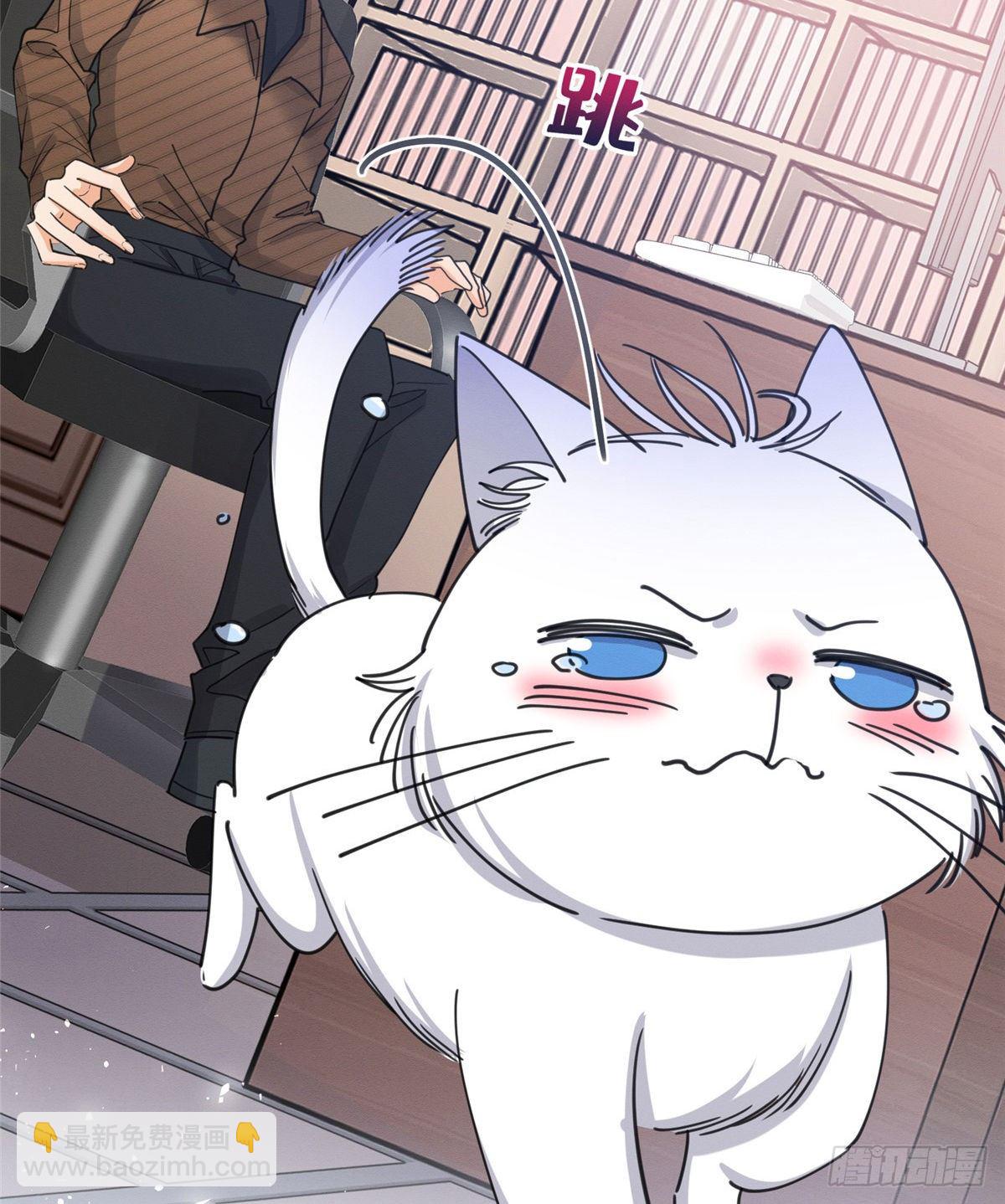 《今天也要努力当只猫》第13话 我的初吻TAT 第50页