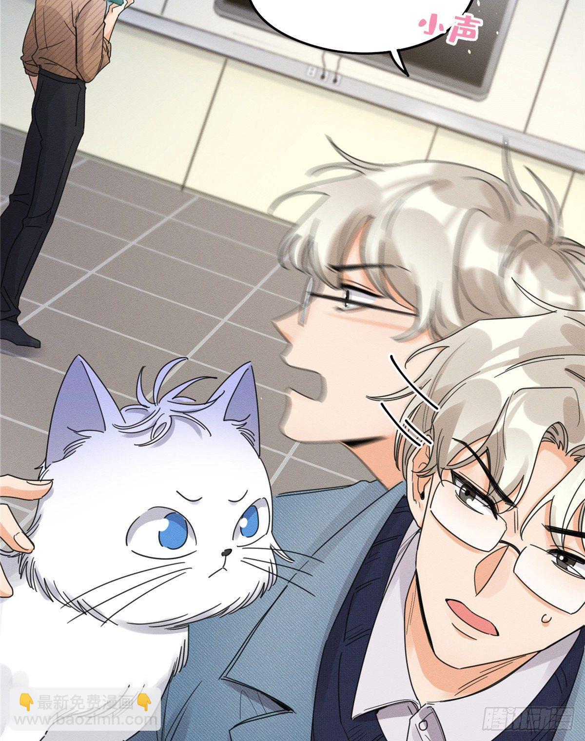 《今天也要努力当只猫》第13话 我的初吻TAT 第9页
