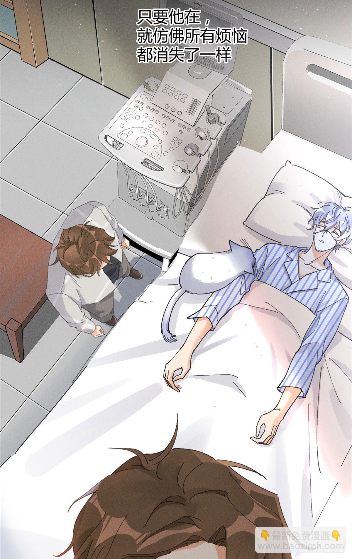 《今天也要努力当只猫》第16话 你哭了？ 第20页