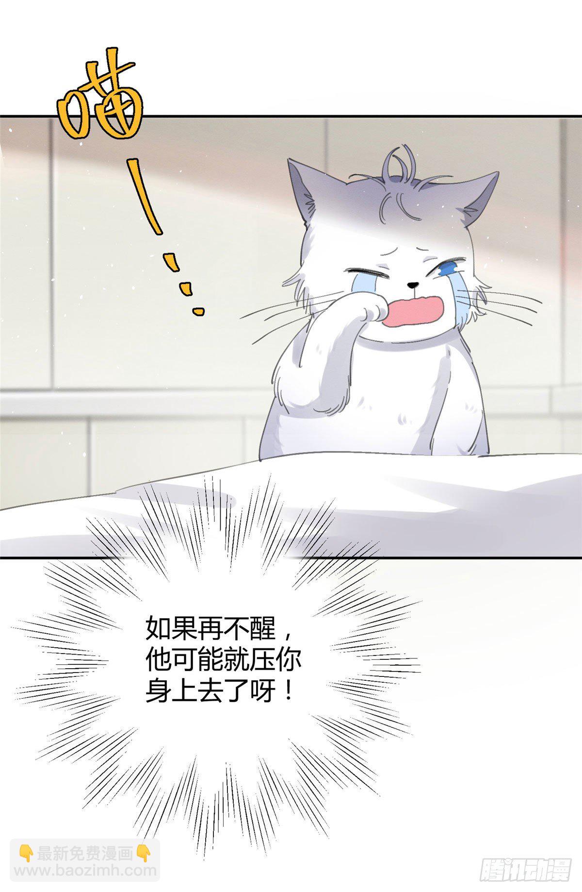 《今天也要努力当只猫》第16话 你哭了？ 第24页