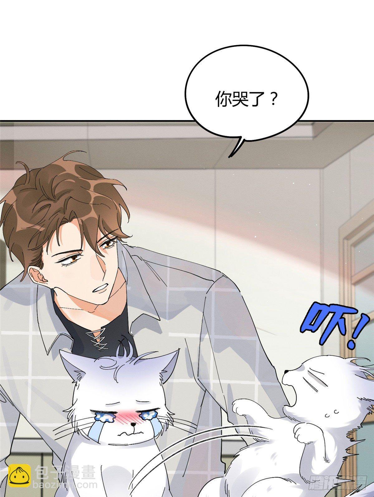 《今天也要努力当只猫》第16话 你哭了？ 第25页