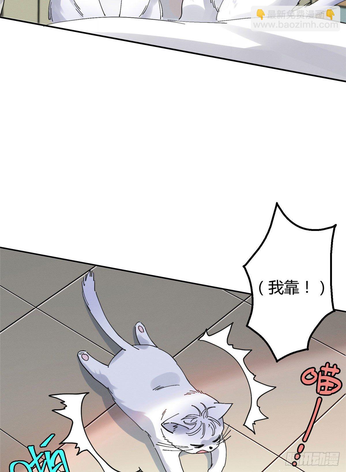 《今天也要努力当只猫》第16话 你哭了？ 第26页