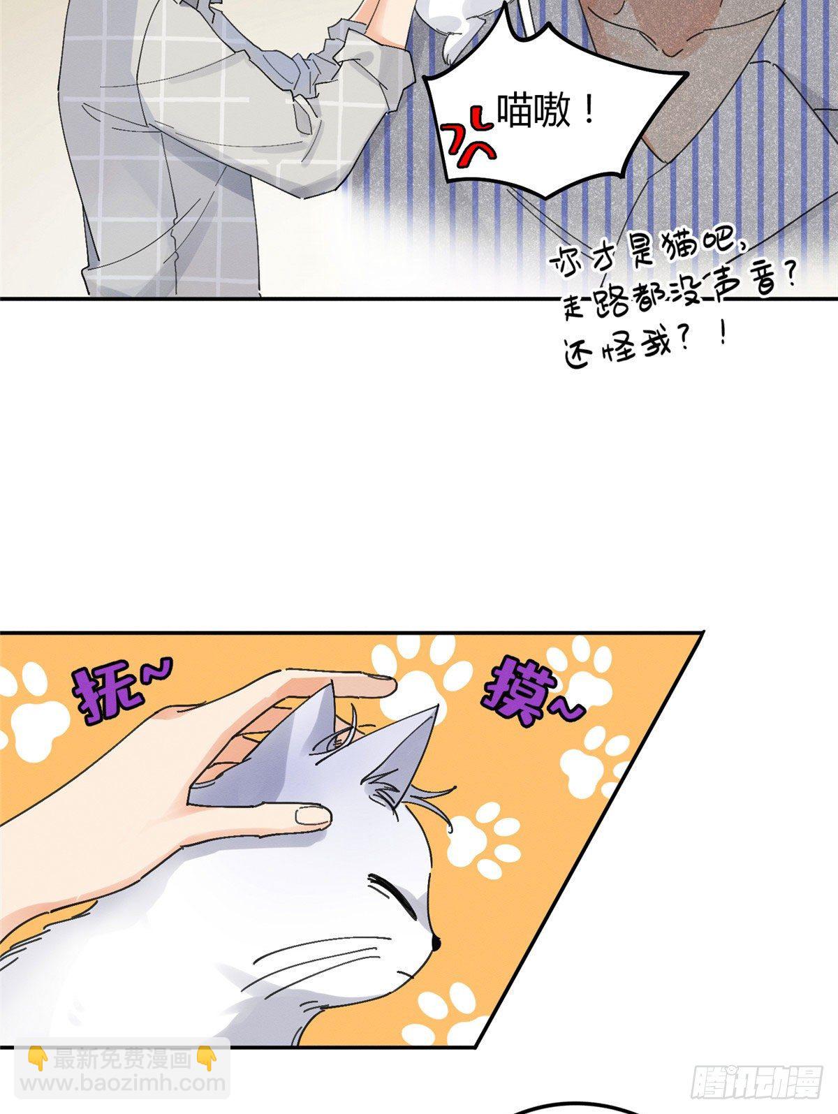 《今天也要努力当只猫》第16话 你哭了？ 第28页