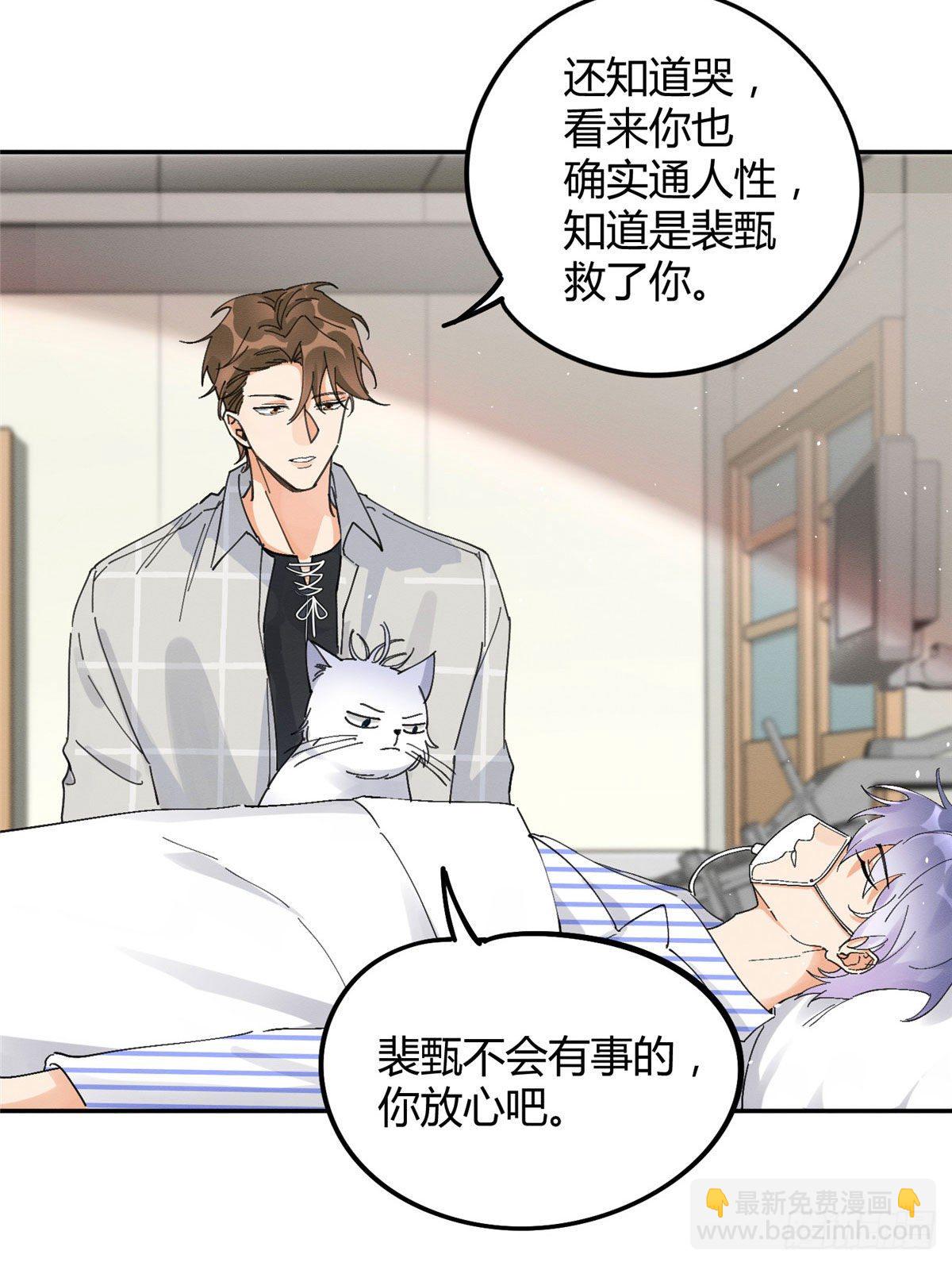 《今天也要努力当只猫》第16话 你哭了？ 第29页