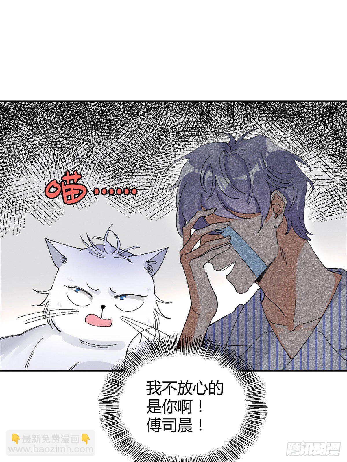 《今天也要努力当只猫》第16话 你哭了？ 第30页