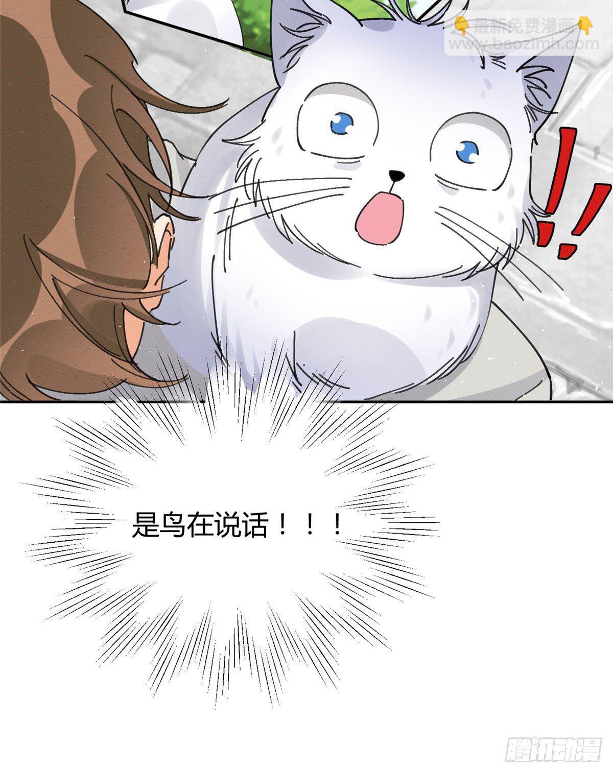 《今天也要努力当只猫》第16话 你哭了？ 第37页
