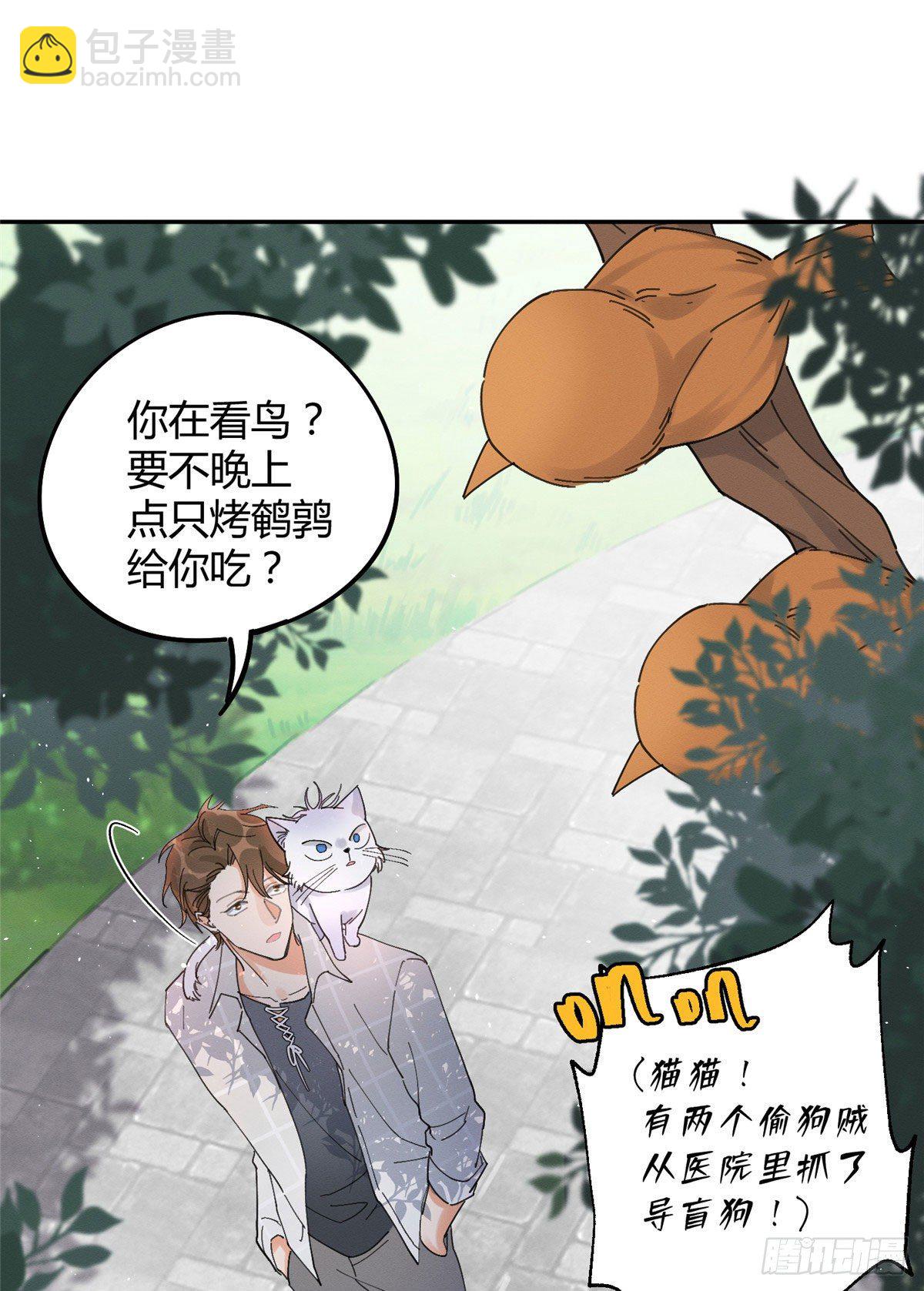 《今天也要努力当只猫》第16话 你哭了？ 第38页
