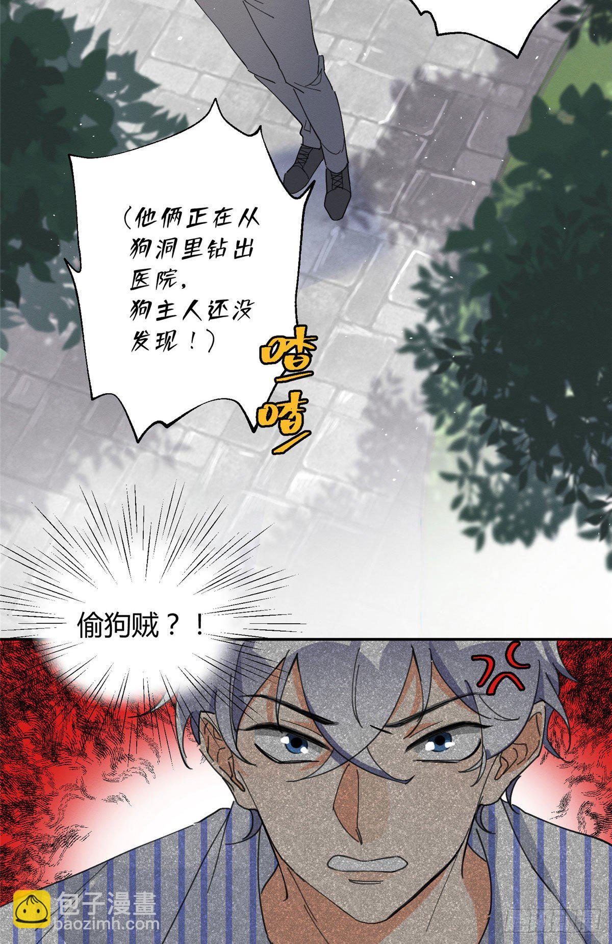 《今天也要努力当只猫》第16话 你哭了？ 第39页