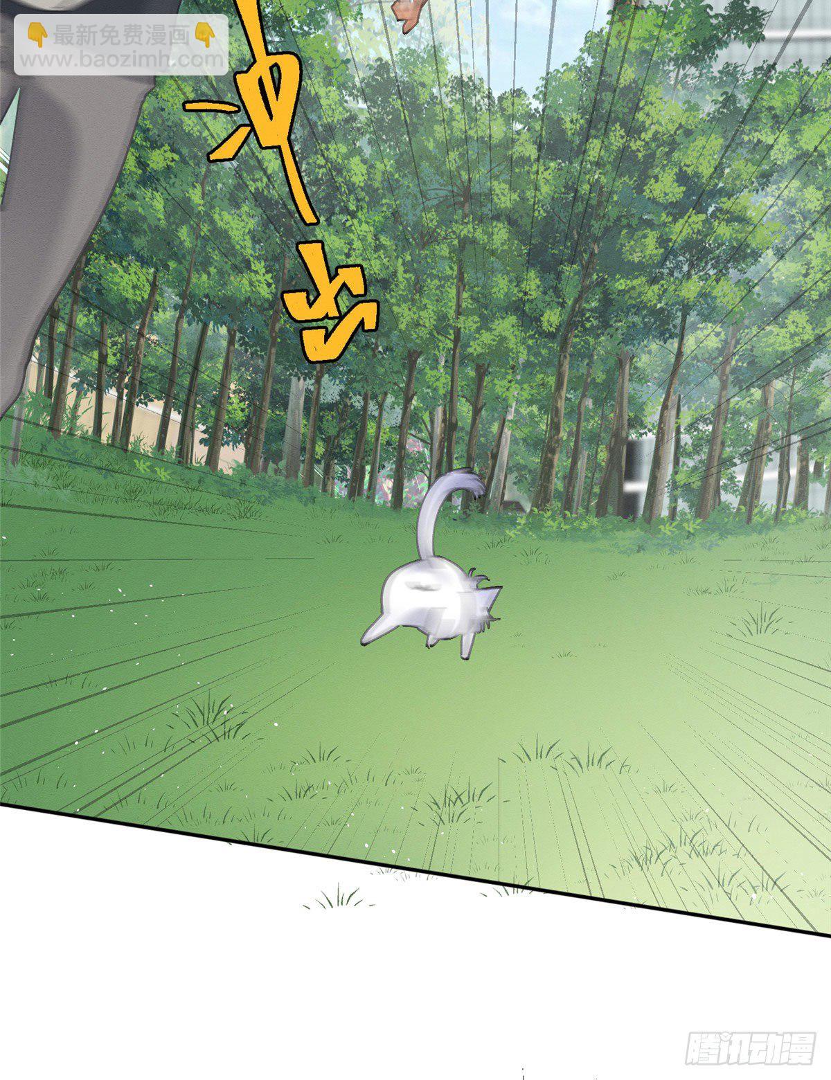 《今天也要努力当只猫》第16话 你哭了？ 第41页