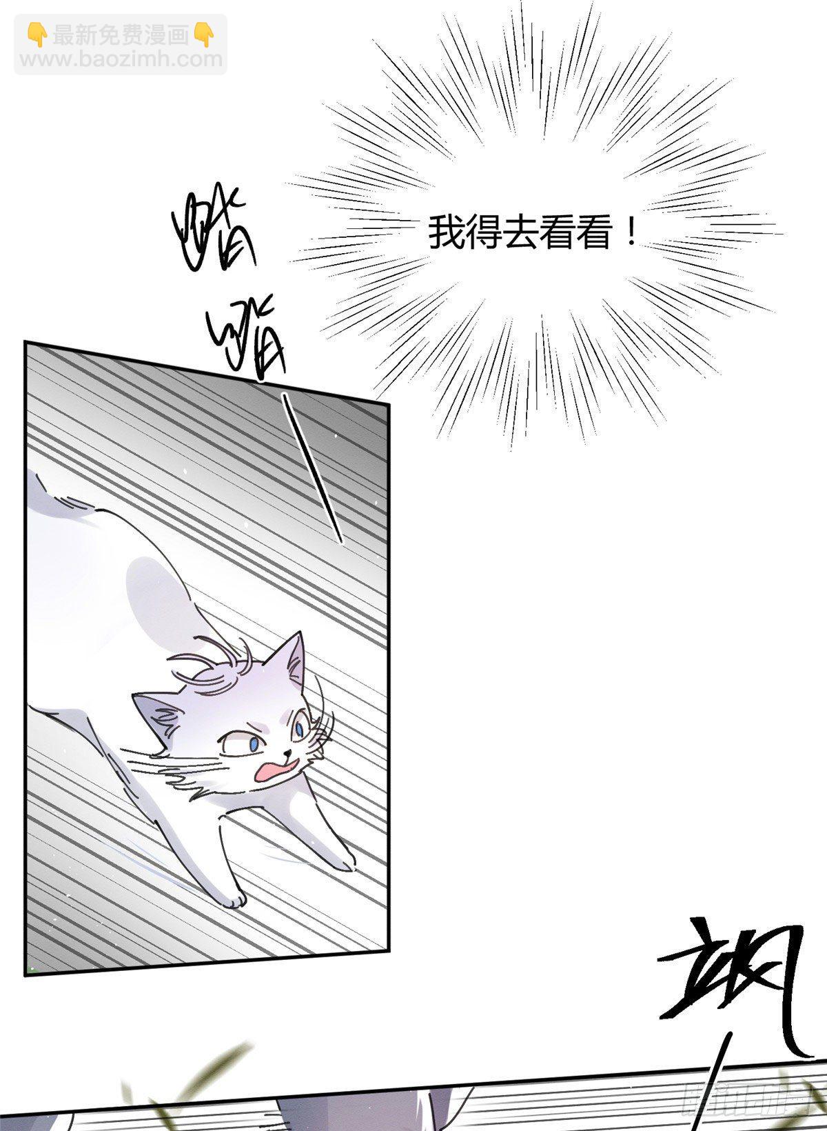 《今天也要努力当只猫》第16话 你哭了？ 第42页
