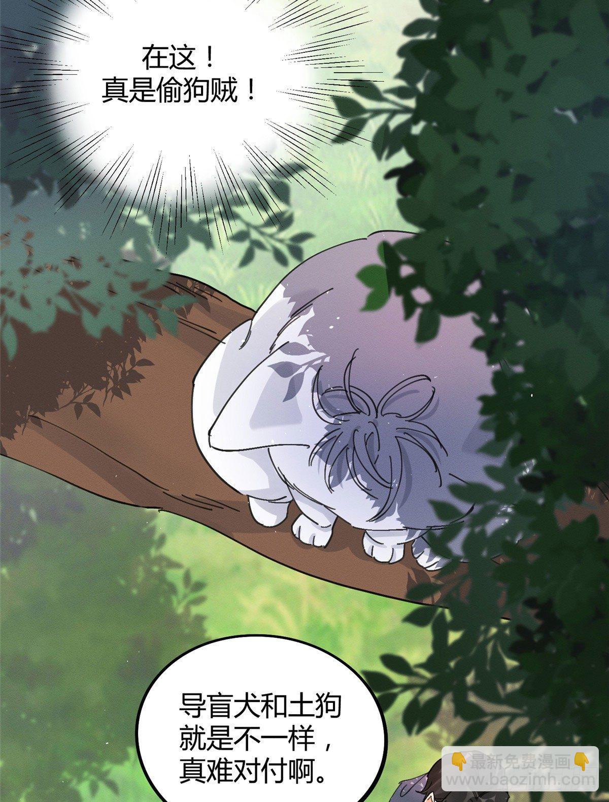 《今天也要努力当只猫》第16话 你哭了？ 第44页