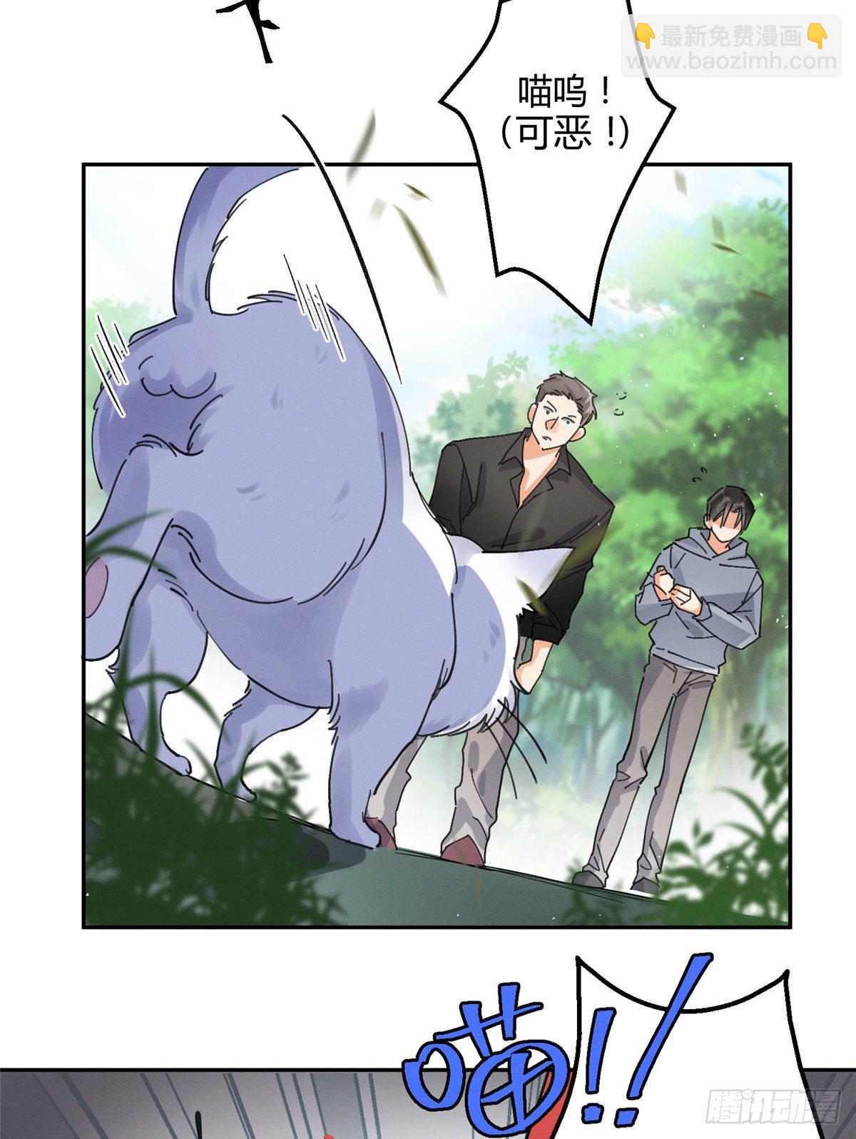 《今天也要努力当只猫》第16话 你哭了？ 第46页