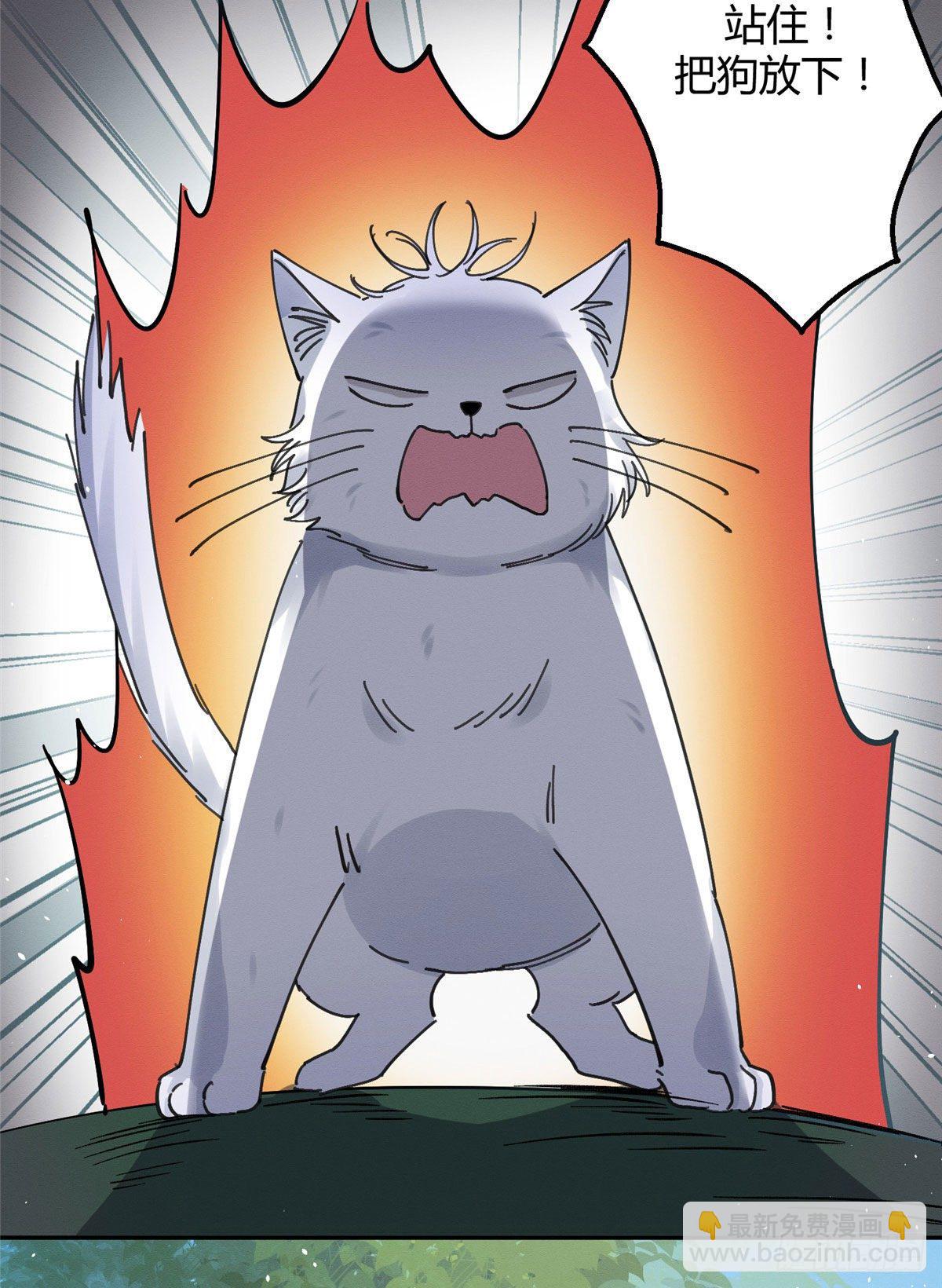《今天也要努力当只猫》第16话 你哭了？ 第47页