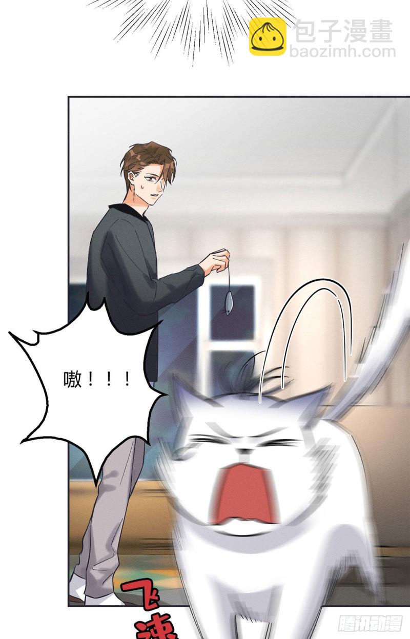 《今天也要努力当只猫》第18话 好哥哥 第10页