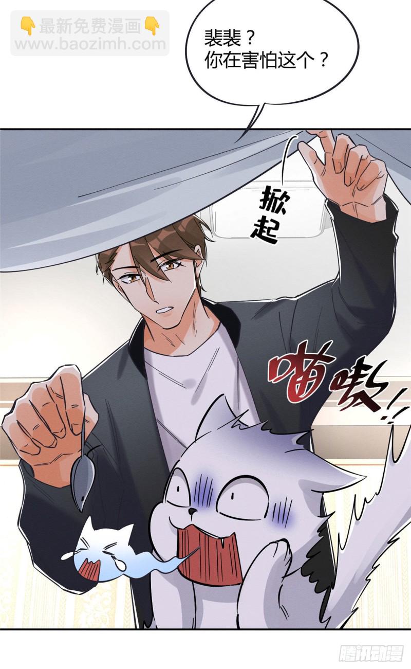 《今天也要努力当只猫》第18话 好哥哥 第13页