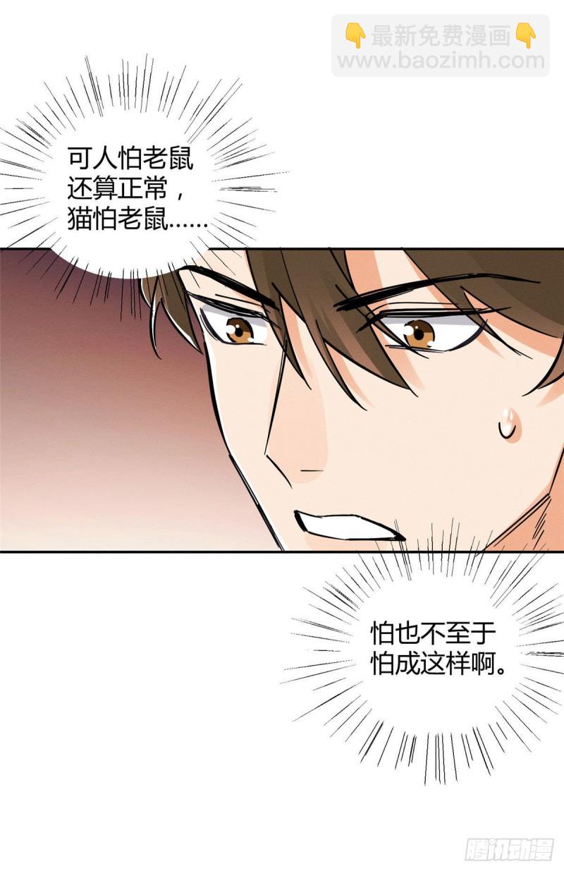 《今天也要努力当只猫》第18话 好哥哥 第15页