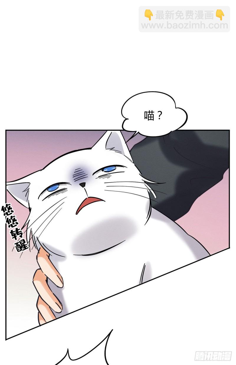 《今天也要努力当只猫》第18话 好哥哥 第17页