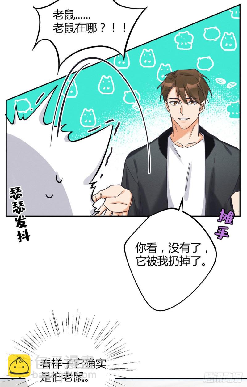 《今天也要努力当只猫》第18话 好哥哥 第18页