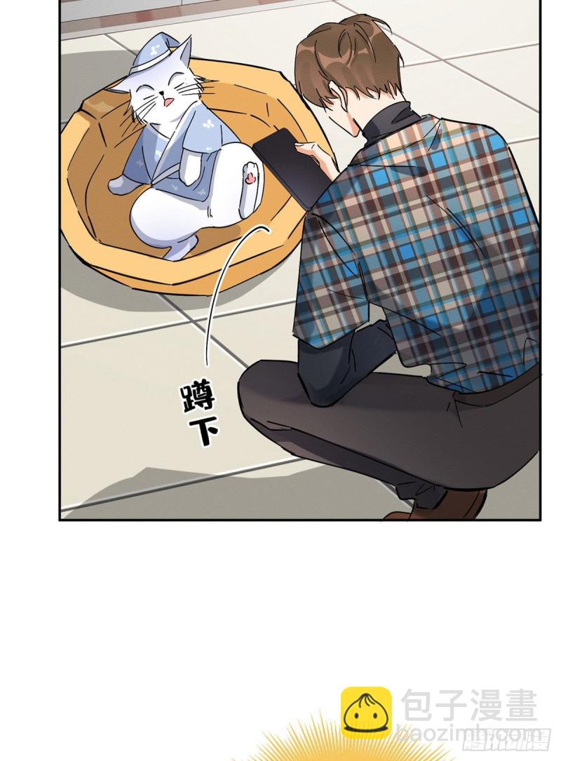《今天也要努力当只猫》第20话 喜欢我吗 第27页