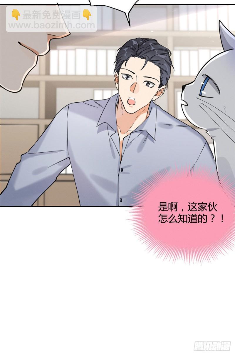 《今天也要努力当只猫》第19话 营业！ 第29页