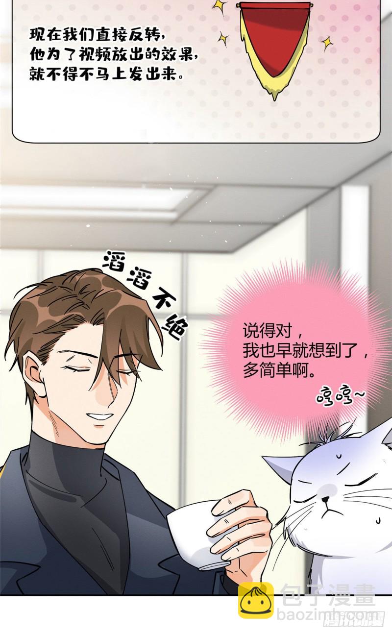 《今天也要努力当只猫》第19话 营业！ 第31页