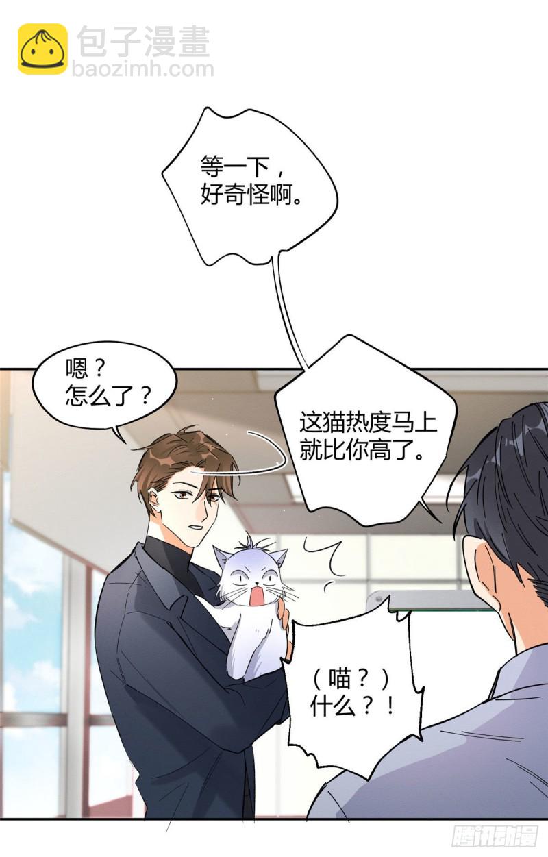 《今天也要努力当只猫》第19话 营业！ 第35页