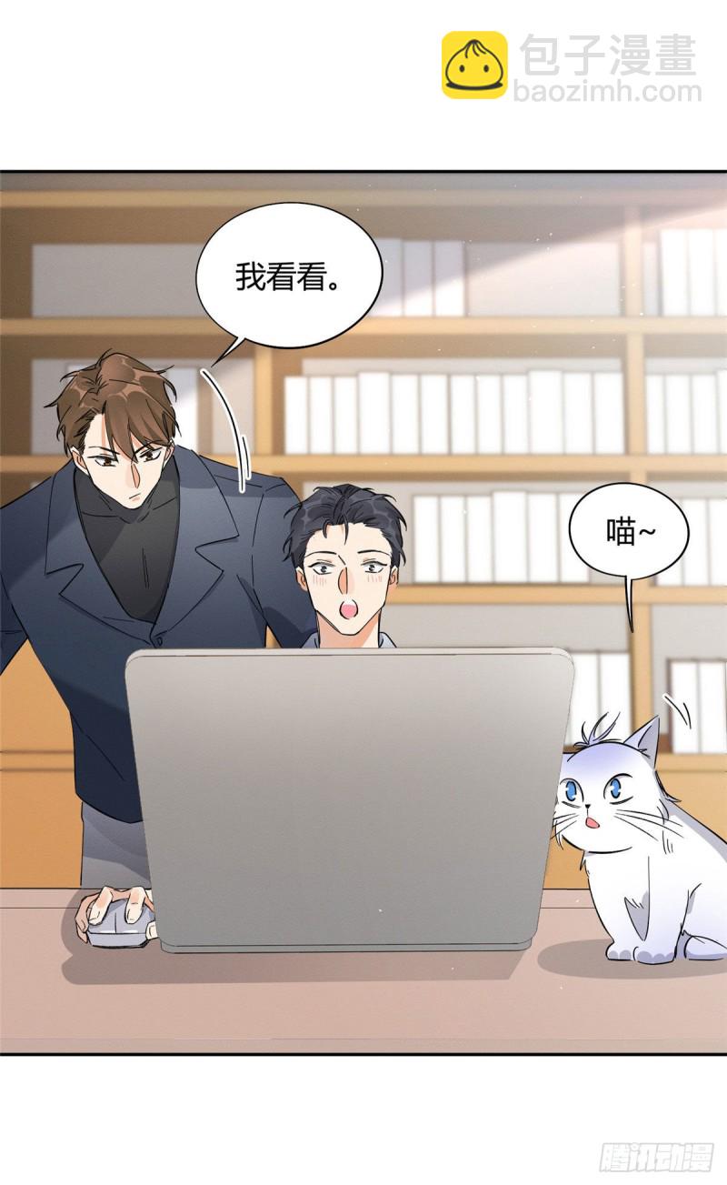 《今天也要努力当只猫》第19话 营业！ 第36页