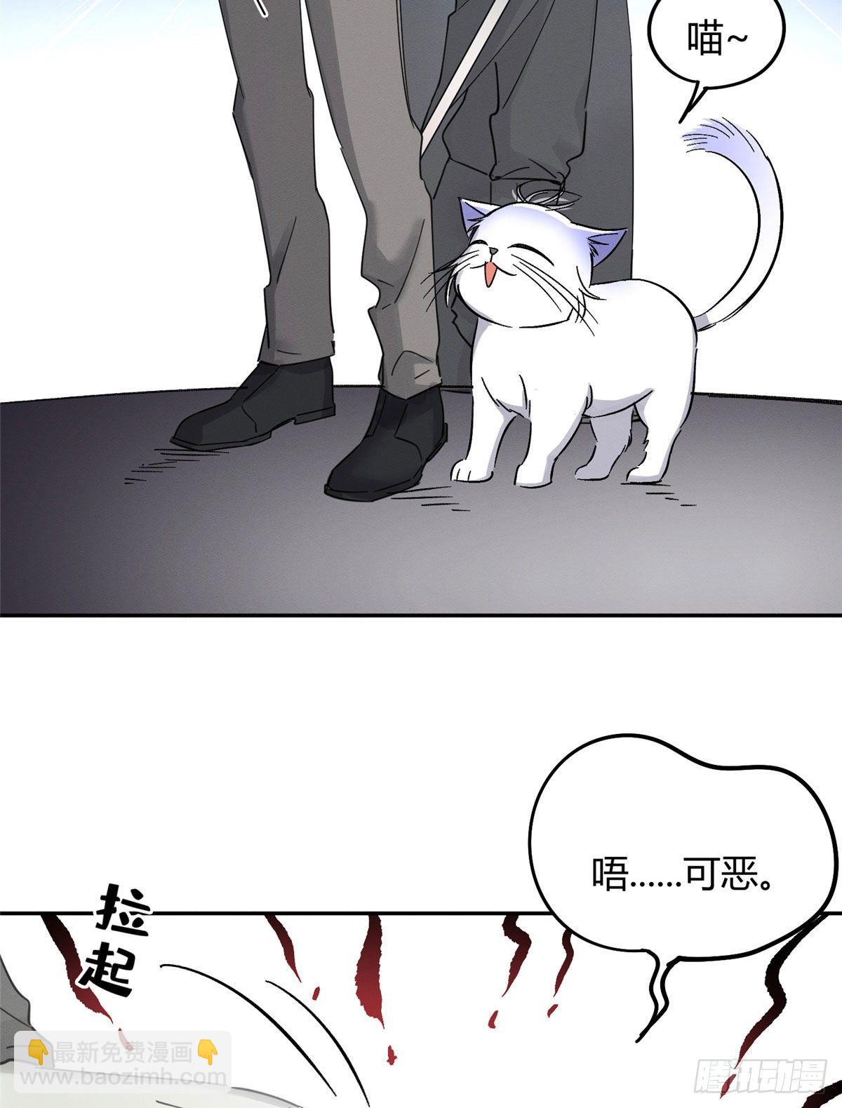 《今天也要努力当只猫》第17话 签名！ 第13页