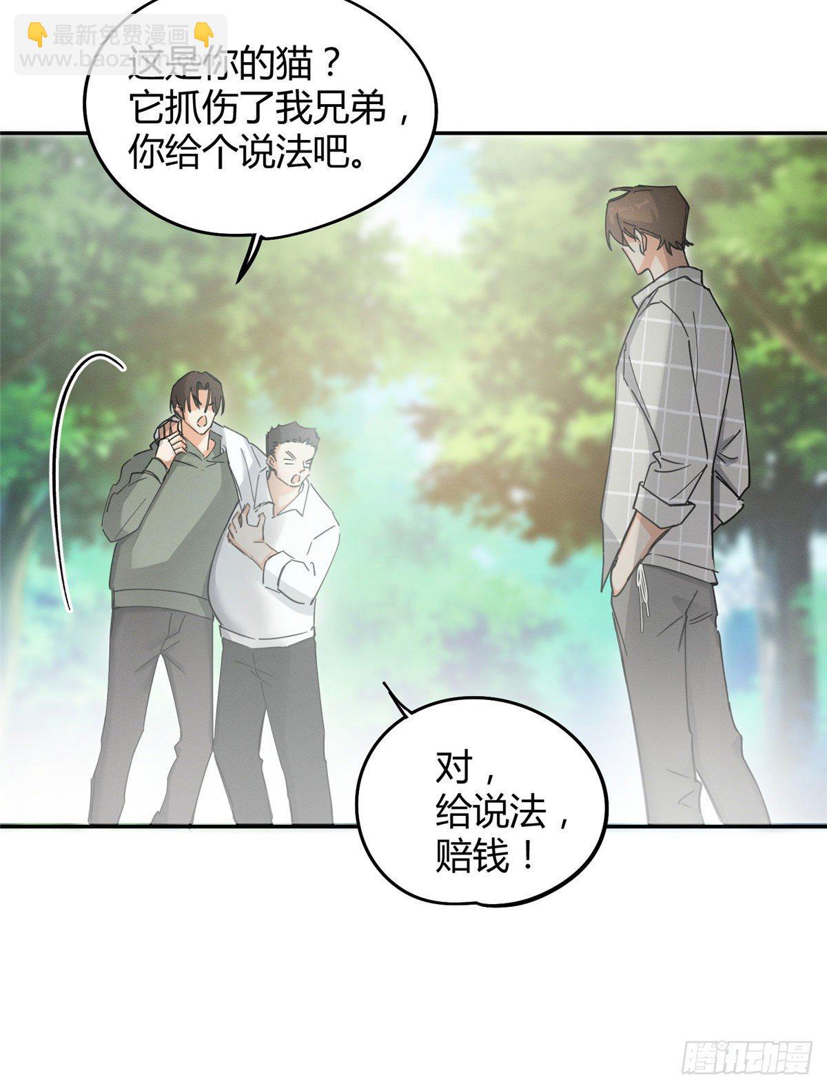《今天也要努力当只猫》第17话 签名！ 第15页