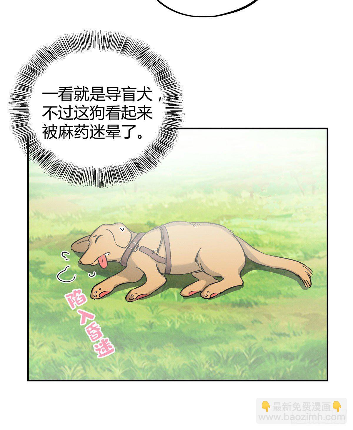 《今天也要努力当只猫》第17话 签名！ 第17页