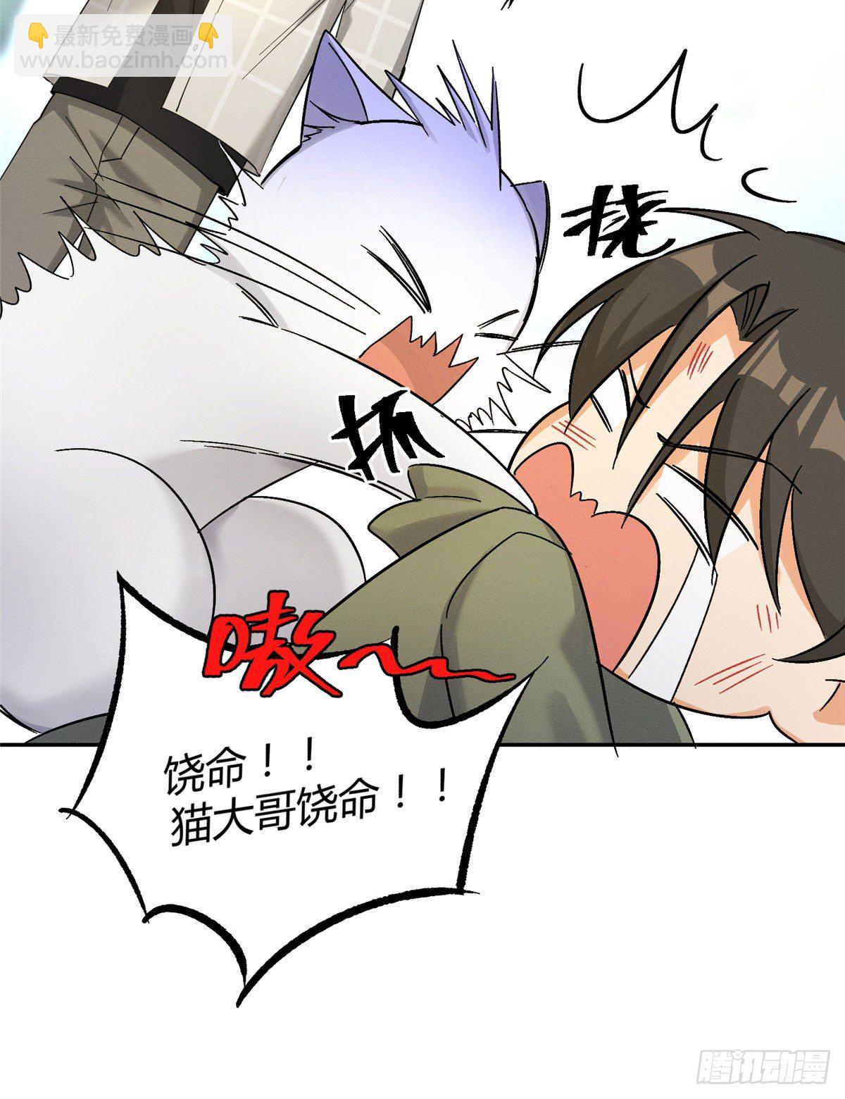 《今天也要努力当只猫》第17话 签名！ 第32页