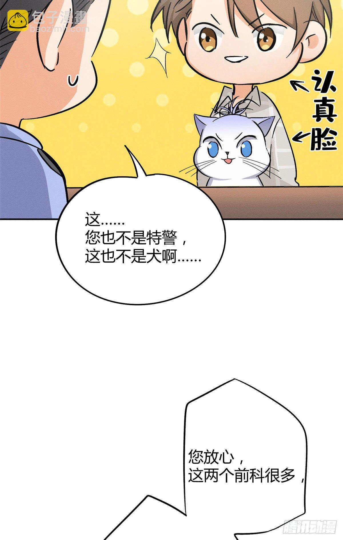 《今天也要努力当只猫》第17话 签名！ 第38页