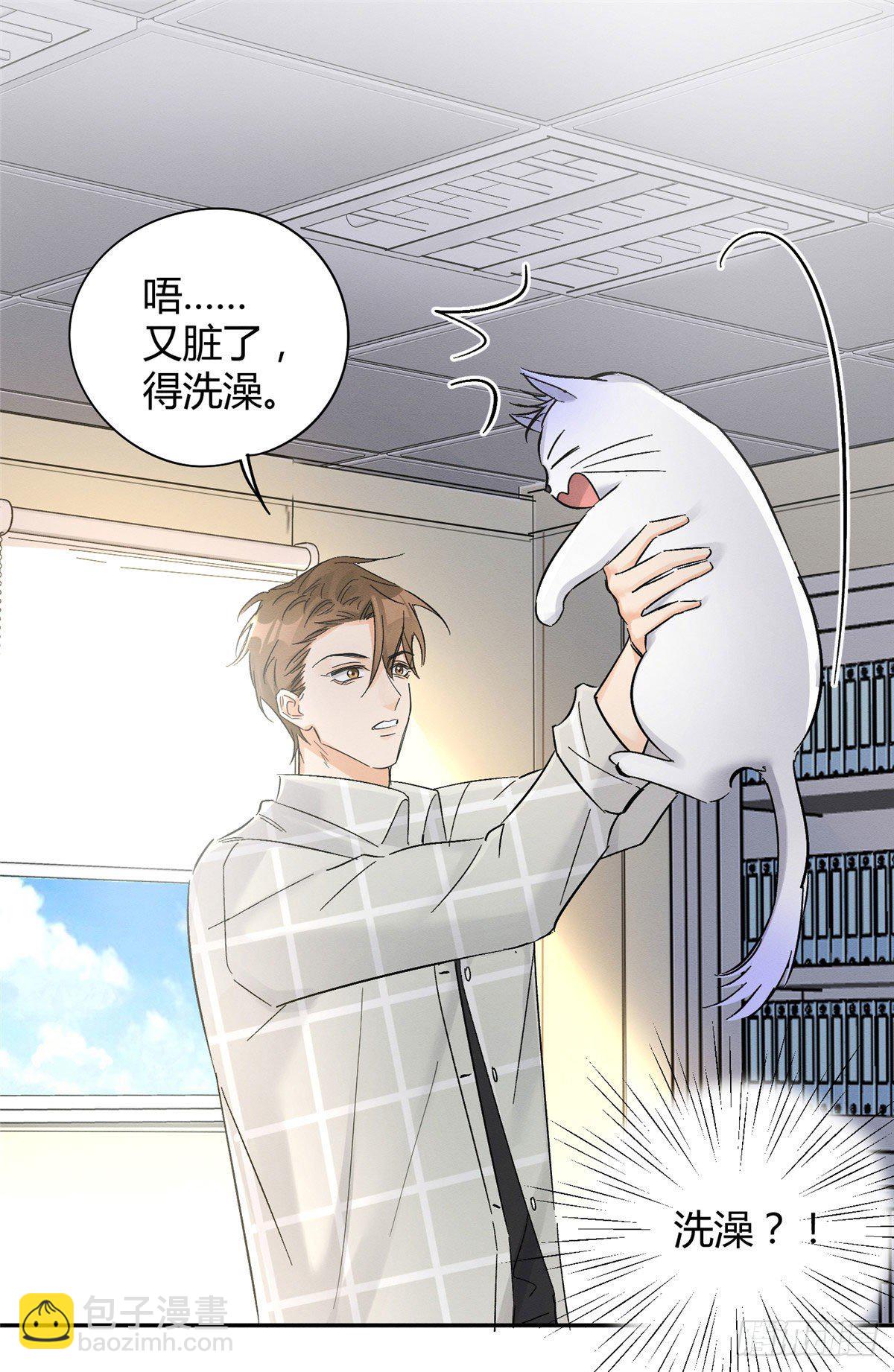 《今天也要努力当只猫》第17话 签名！ 第49页