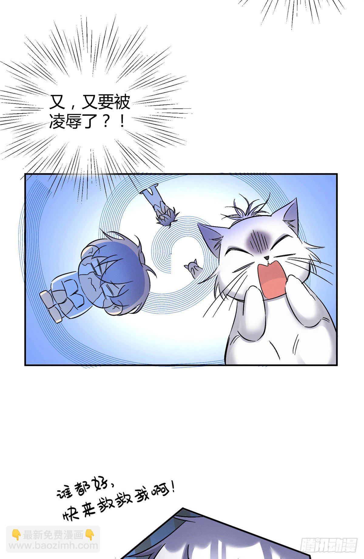 《今天也要努力当只猫》第17话 签名！ 第50页