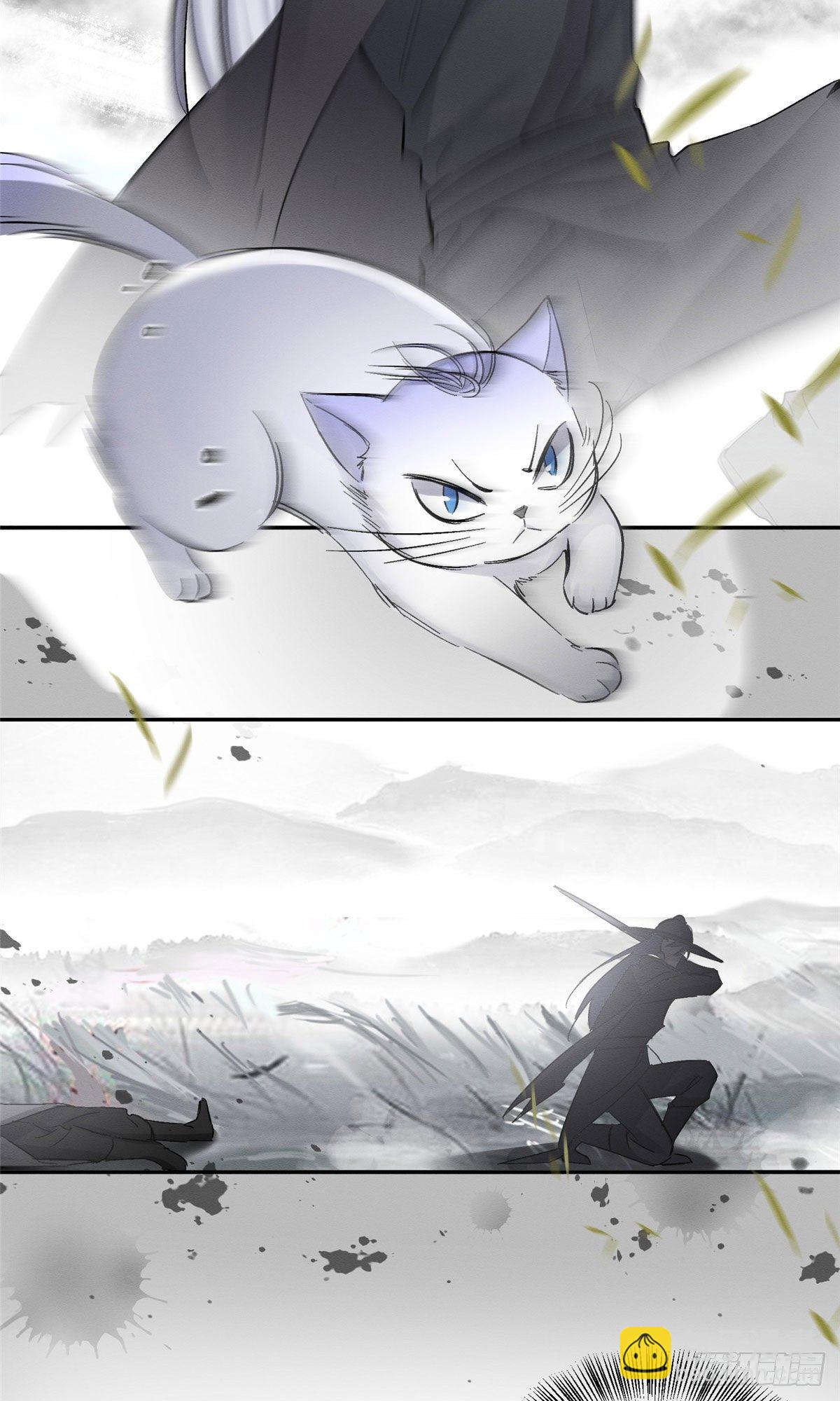《今天也要努力当只猫》第17话 签名！ 第6页