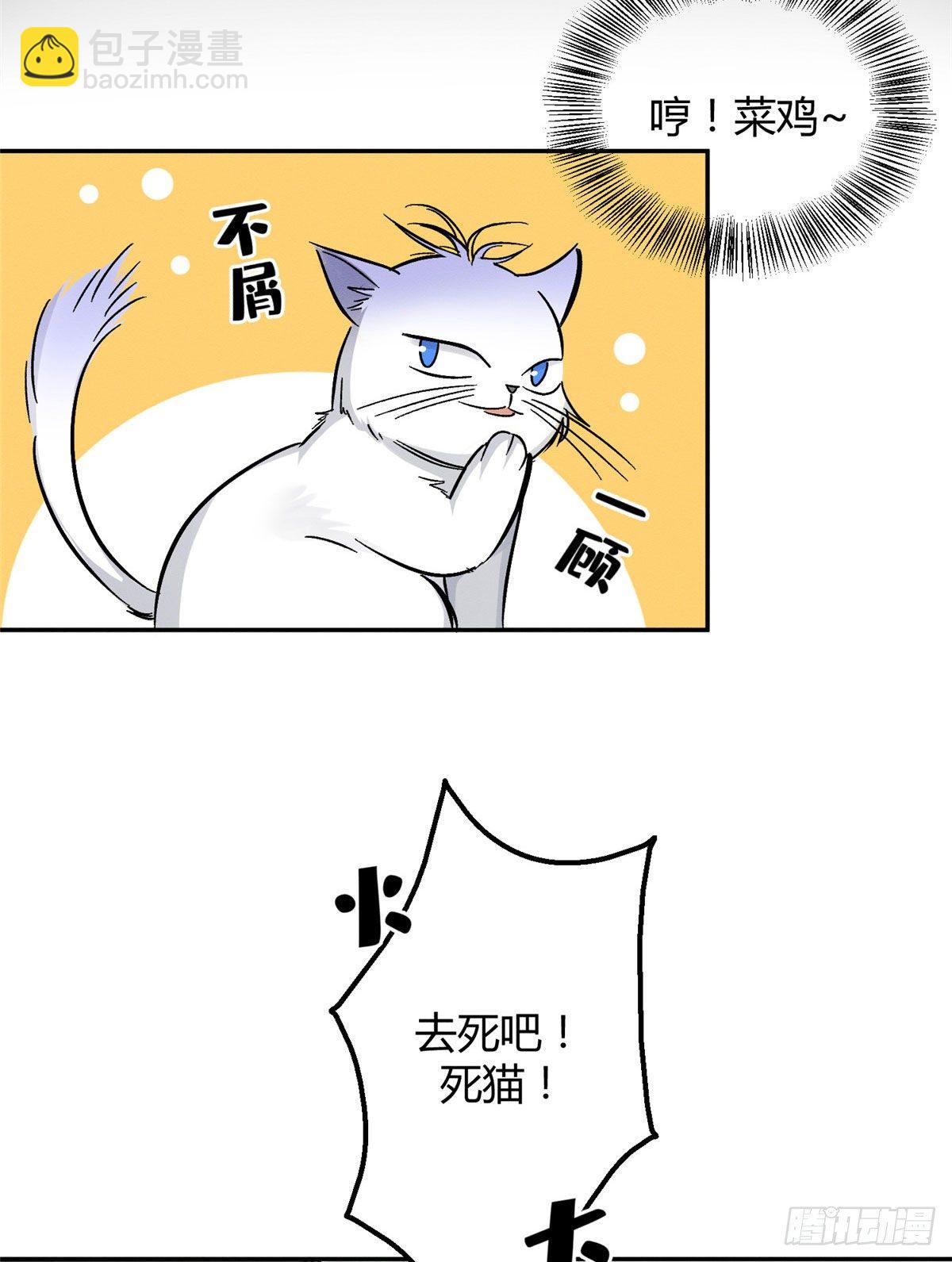 《今天也要努力当只猫》第17话 签名！ 第7页