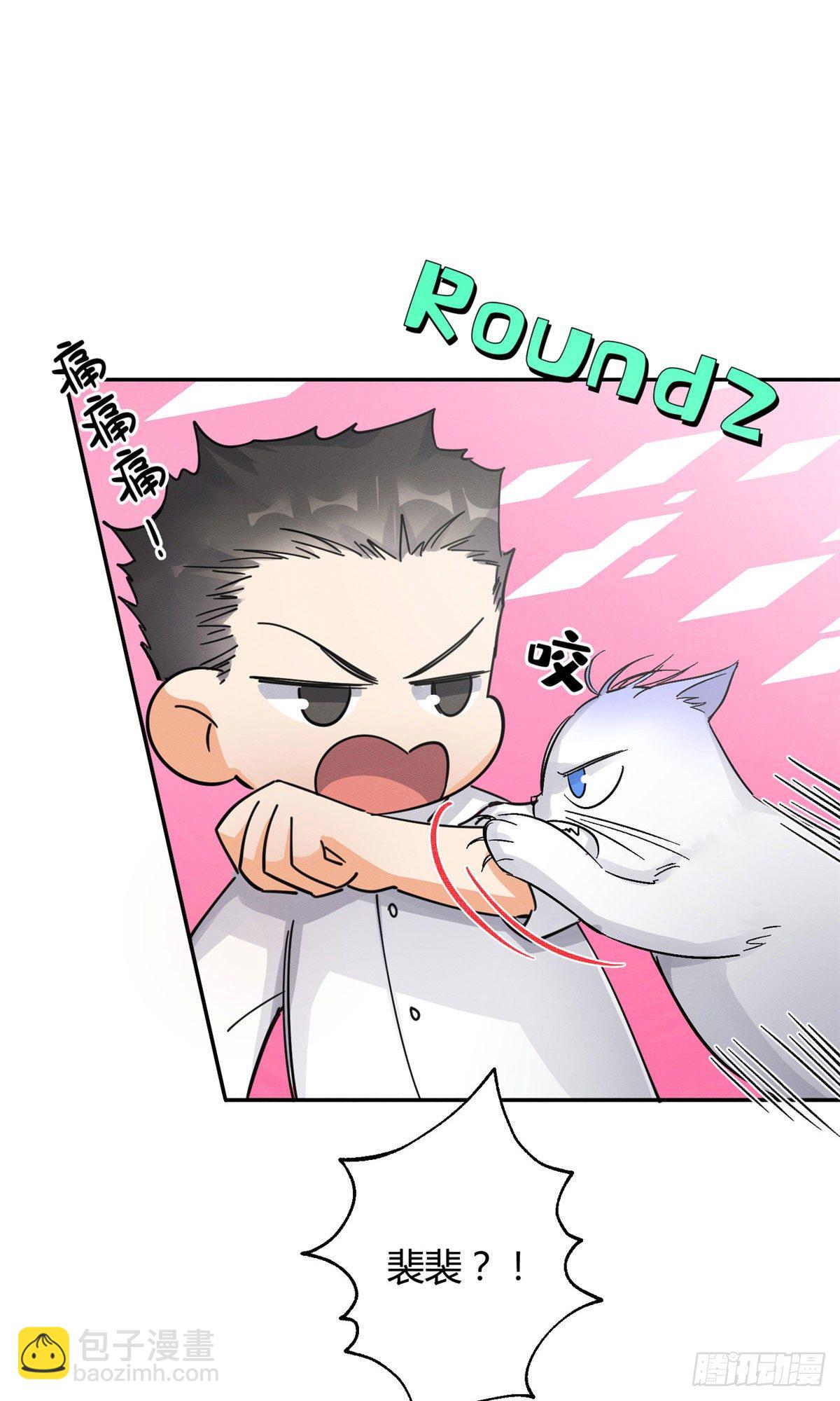 《今天也要努力当只猫》第17话 签名！ 第9页