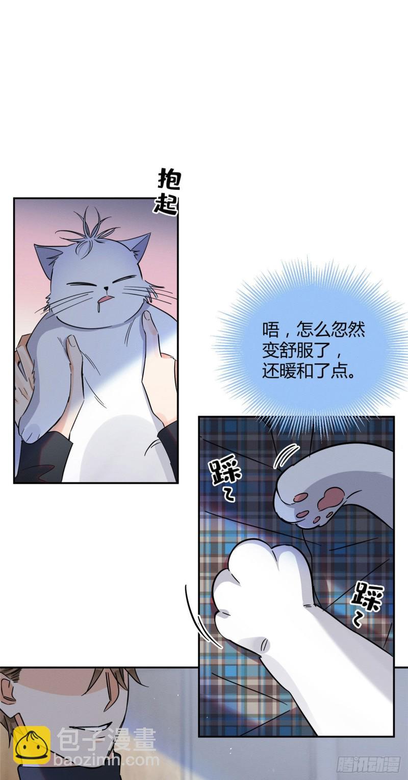 《今天也要努力当只猫》第23话 机会来了！ 第12页