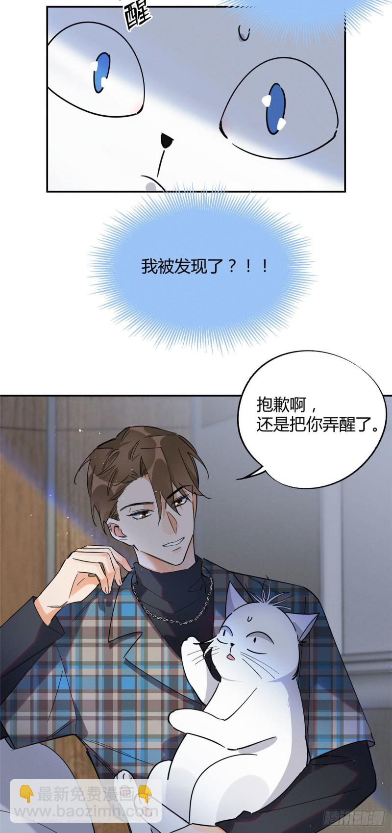《今天也要努力当只猫》第23话 机会来了！ 第14页