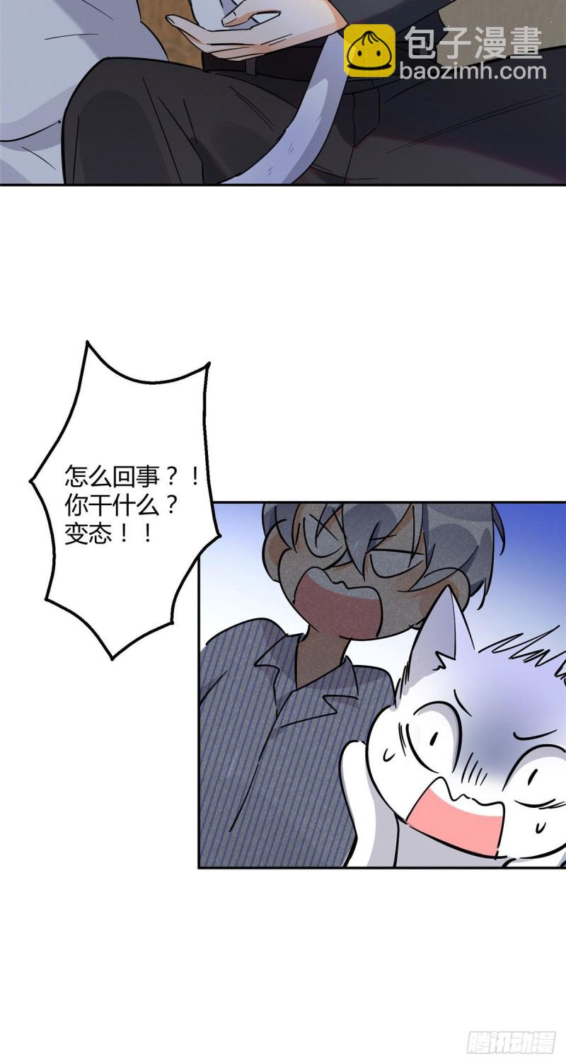 《今天也要努力当只猫》第23话 机会来了！ 第15页