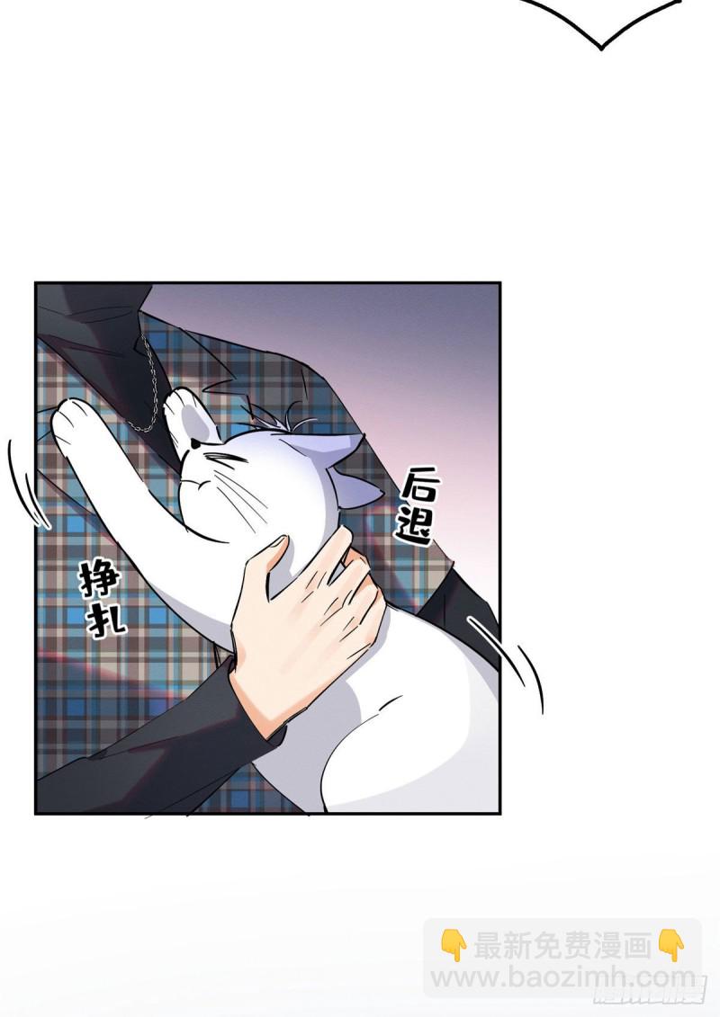 《今天也要努力当只猫》第23话 机会来了！ 第17页