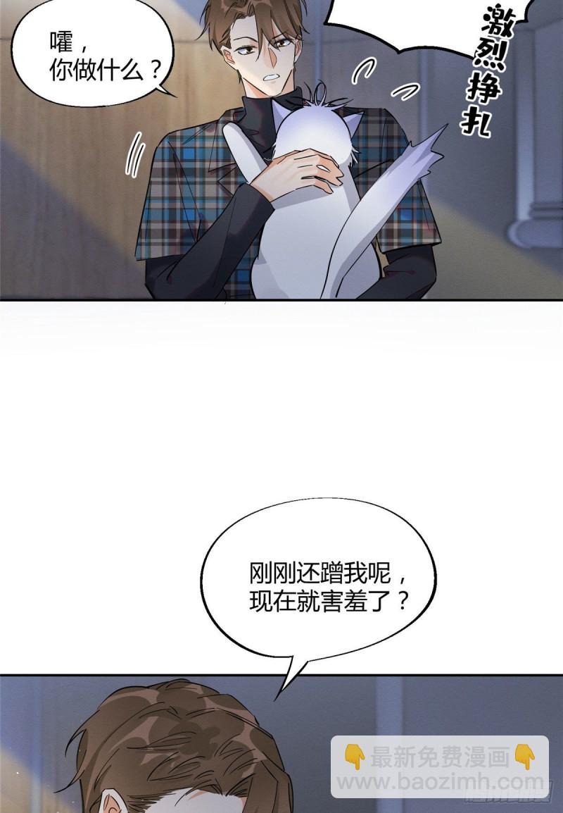 《今天也要努力当只猫》第23话 机会来了！ 第19页