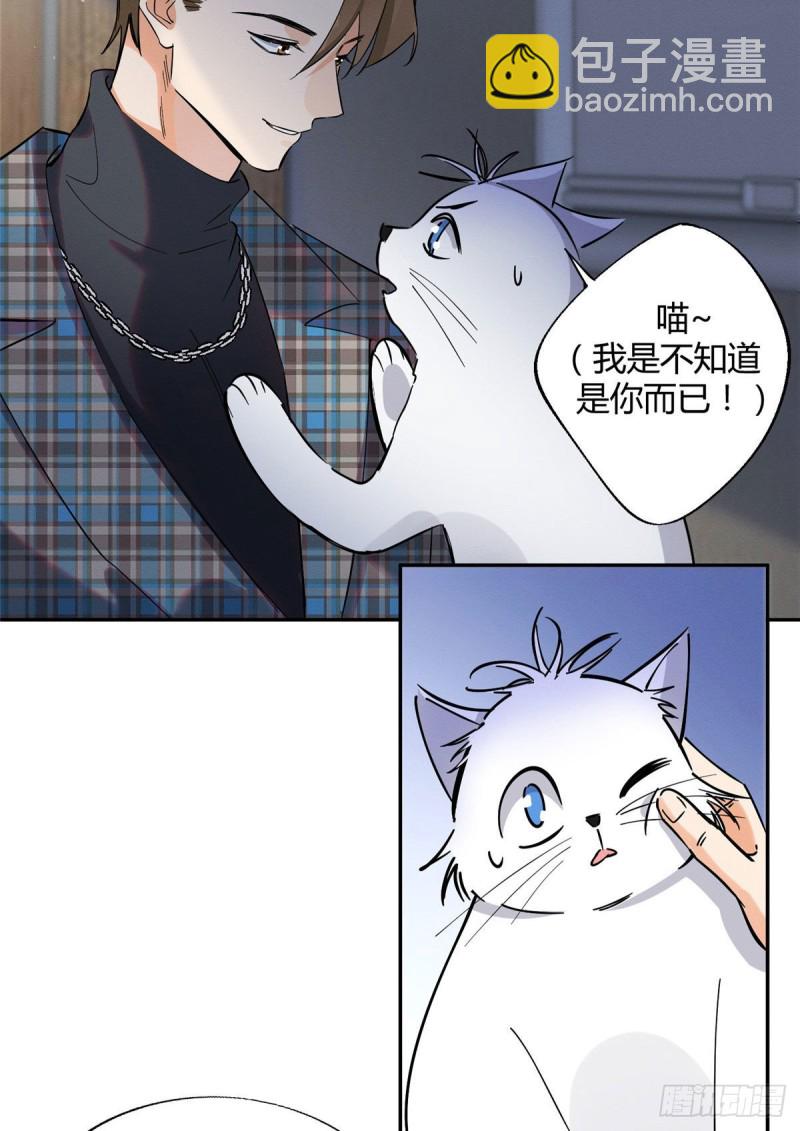 《今天也要努力当只猫》第23话 机会来了！ 第20页