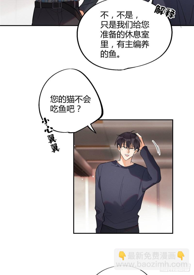 《今天也要努力当只猫》第23话 机会来了！ 第27页