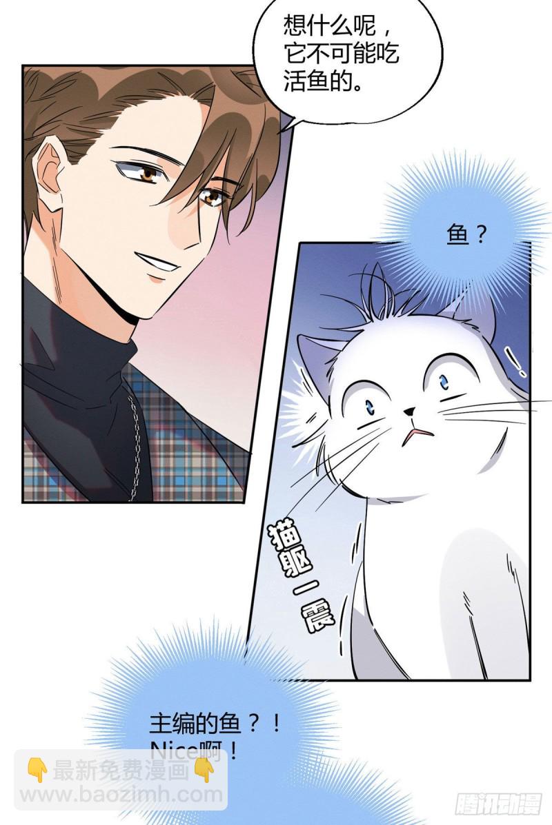《今天也要努力当只猫》第23话 机会来了！ 第28页