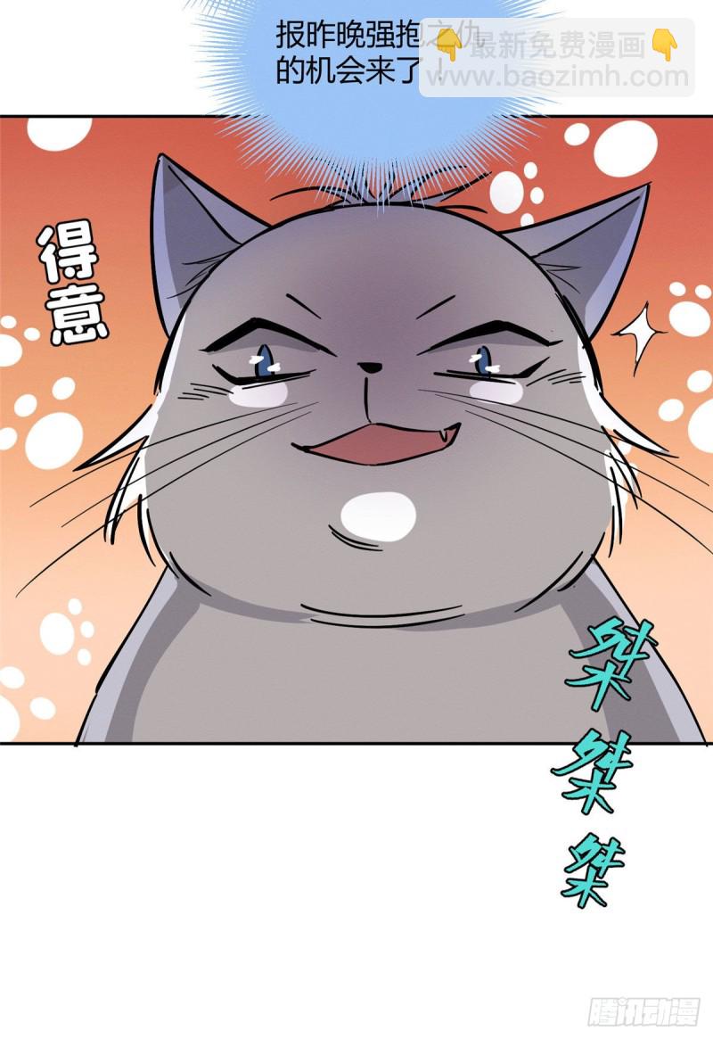 《今天也要努力当只猫》第23话 机会来了！ 第29页